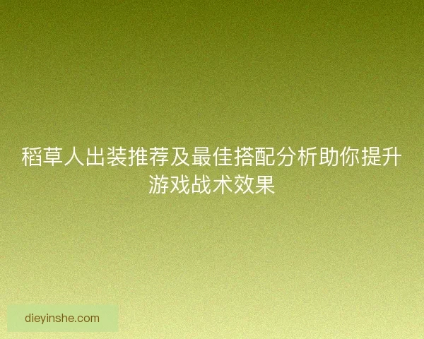 稻草人出装推荐及最佳搭配分析助你提升游戏战术效果